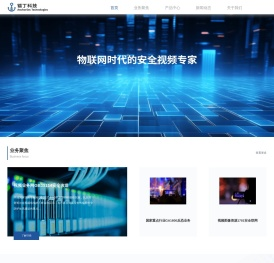 物联网时代的安全视频专家